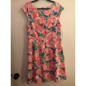 Lilly Pulitzer Briella Dress